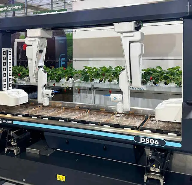 Dünyanın İlk Ticari Çilek Hasat Robotu Türkiye’de